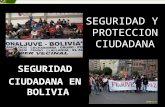 Seguridad Ciudadana Bolivia - Conaljuve