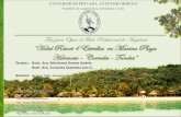 FAUA UPAO Expo Tesis Proyecto "Hotel Resort 4 Est. en Playa Hermosa - Tumbes