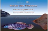 Peces Del Uruguay - Lista Sistemtica y Nombres Comunes