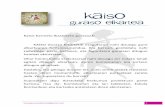 KAISO gida 2011-2012 Bloga