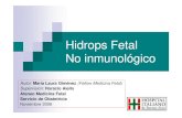 Hidrops Fetal No Inmunologico