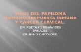 Virus del papiloma humano,respuesta inmune y cáncer cervical
