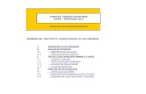 4 Formato Financiero 2012 Purificadora Ultra-premium