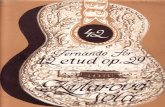 Fernando Sor - 12 Estudos Op, 29 - Guitar Scores