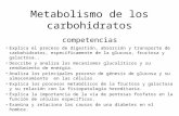 Medicina Metabolismo de Los Carbohidratos