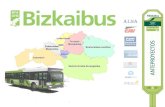 Bizkaibus Anteproyectos LAB