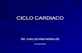 ^ 3ra. Clase Teor+¡a - Ciclo Cardiaco