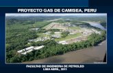 Gas Natural - Descripcion Del Proyecto Camisea Alumnos