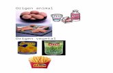 Alimentos de Origen Animal, Vegetal, Mineral