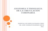 ANATOMIA Y FISIOLOGIA DE LA CIRCULACIÓN CORONARIA