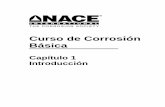 BASICO CORROSION NACE.pdf