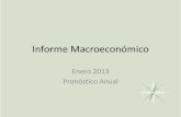 Hm informe macroeconómico 0113