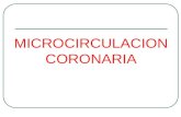 microcirculacion coronaria
