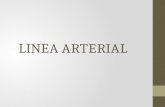 Linea Media Arterial