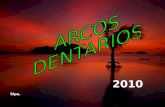 04 Arcos Dentarios 2010