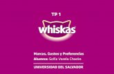 Marcas - Whiskas