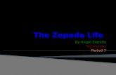 Zepeda Autobiography presentation