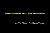1 HE-Fisiopatología de la Hematopoyesis