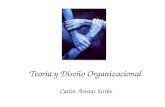 Teoría y diseño organizacional