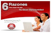 Presentacion ForeverGreen (Ecuador)
