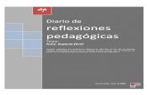 Diario De Reflexiones PedagóGicas 2009