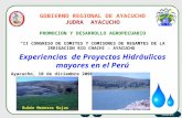 Proy Hidra Peru
