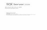 Sql server2008 Revision