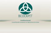 BCockpit Institucional - ES