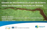 Efectos de los cambios en el uso de la tierra sobre los humedales del Delta del Paraná