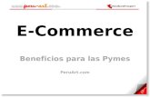 Presentacion Cumbre Pyme Del Apec 2011