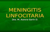 Meningitis Linfocitaria