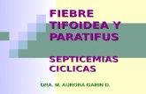 Fiebre Tifoidea y Paratifoidea