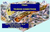 04 Histología Tejidos Conectivos propiamente tales