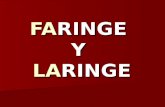 Faring Ey La Ringe