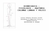 Biomecanica-fisiologia-Anatomia Columna Lumbar Pelvis