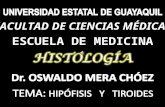Histologia de HipÓfisis y Tyroides