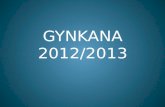 Gynkana 2012