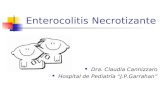.Enterocolitis Necrotizante- neonatología