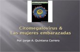Citomegalovirus embarazadas