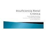 Insuficiencia renal crónica (rotación patología clínica)