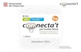 Pres connectat2010 networking