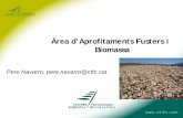 L'ús de la biomassa forestal com a font energètica en el món local