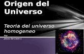Teoria Del Universo Homogeneo
