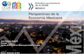 Perspectivas ocde eco survey mexico 2011