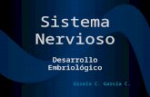 Desarrollo Sistema Nervioso