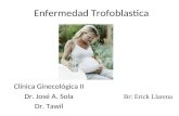 2- Enfermedad Trofoblastica