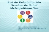 Reunión Red de Rehabilitación