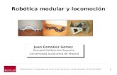 Robótica Modular y Locomoción. UCLM 2009