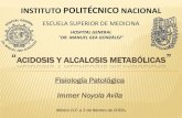 Acidosis y Alcalosis Metabolica.  Immer Noyola Avila