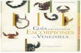 Guía de los Escorpiones de Venezuela - González Sponga (1992)